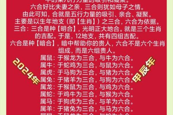 2023年孩子的命运解析：从生肖看未来的璀璨人生
