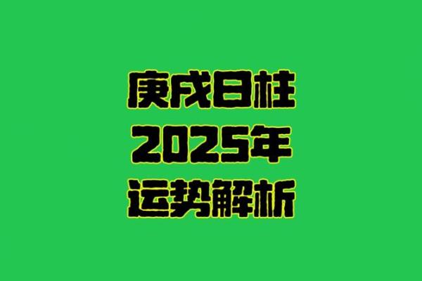 2023蛇年命理解析：探寻蛇年的神秘能量与人生方向