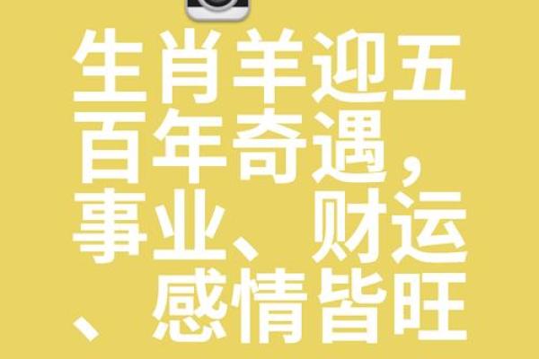 属羊1967年人命运解析：智慧与温暖相伴的一生