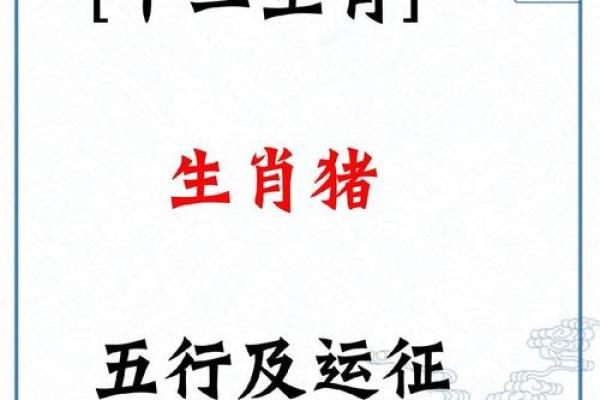 1947年出生的猪属于什么命？揭示其人生运势与性格特点！
