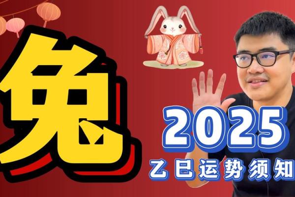 腊月兔子的命理探秘：解读兔年出生者的性格与运势