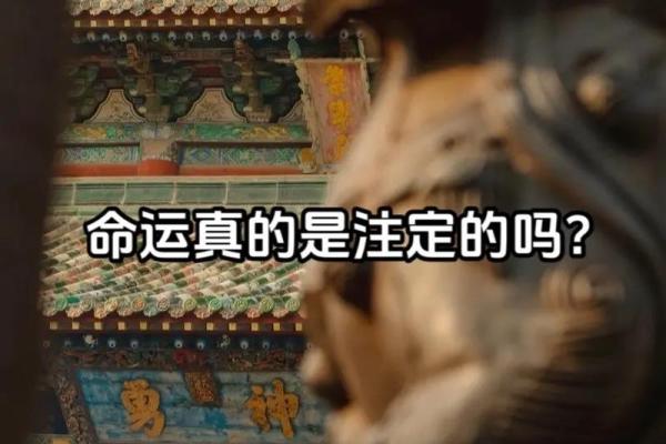 1941年出生的人属什么命？揭开命运的神秘面纱！