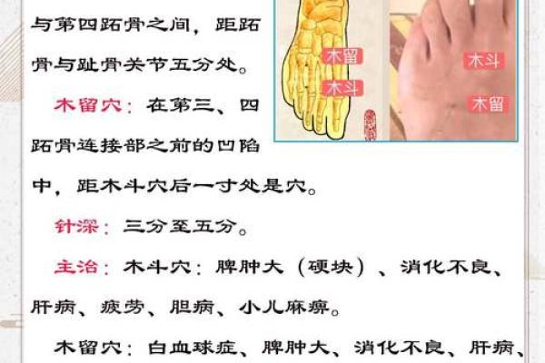 木命亡命安葬的最佳方位与禁忌指南