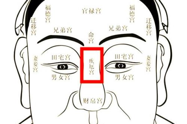 鼻子上有凹槽是命？解读鼻相与命运的关系！