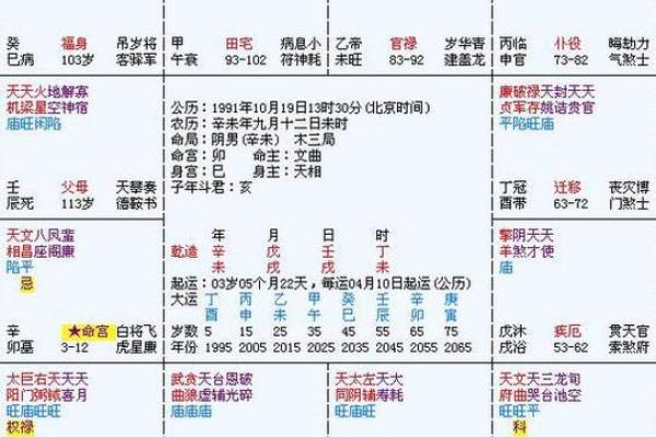 解密紫薇命盘：探索命理背后的智慧与奥秘