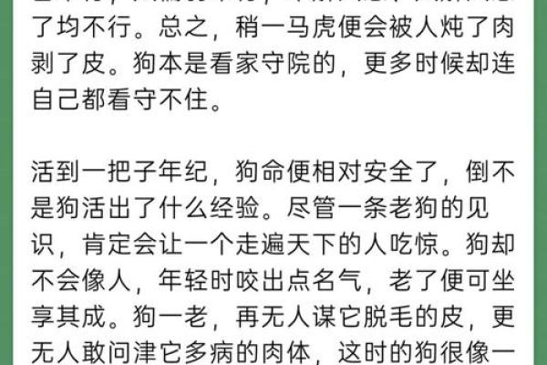 解密51属狗人：命运、性格与人生旅途的探索