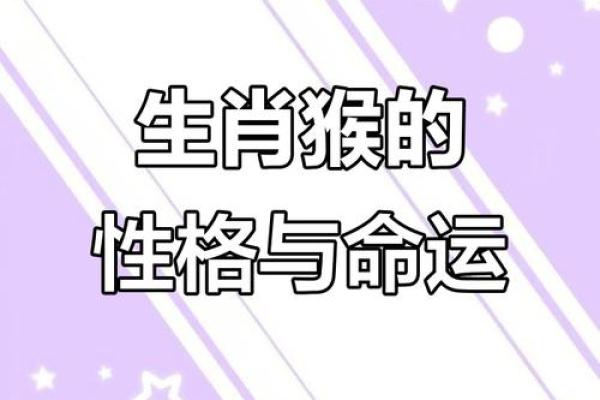 2016年属猴人的命运与性格解析，解锁你的人生密码！
