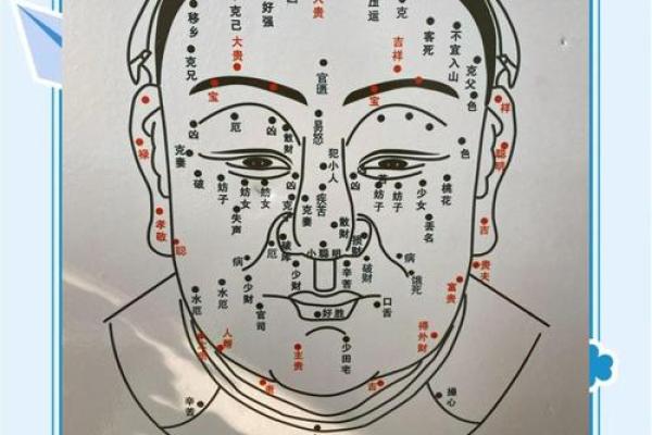 解读辛未丁卯甲辰命理，揭示你的命运密码