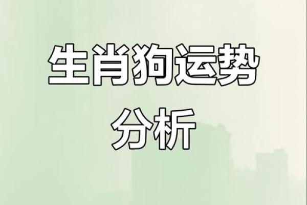 30属狗女性命运解析：智慧与坚韧共舞的生活之路