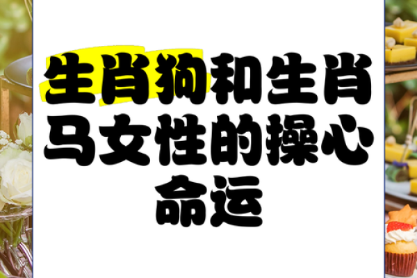 30属狗女性命运解析：智慧与坚韧共舞的生活之路