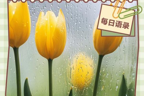 女人孤星命：独行但不孤单的命运之旅