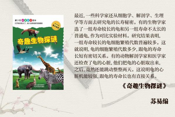探究乌龟的长寿之谜：自然的奇迹与科学解读