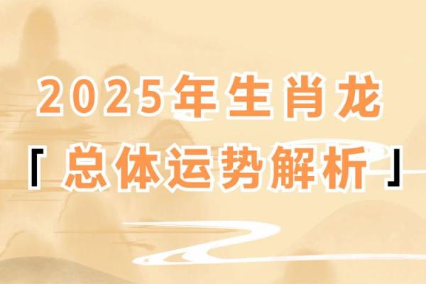 2026年属龙人的命运解析与发展方向探讨