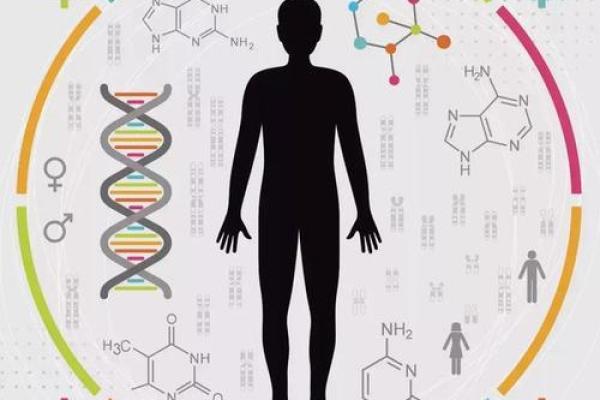 命的价值：一条命与五条命的深刻区别解析