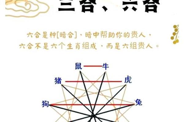揭秘“惊雷富贵命”背后的生肖奥秘与真实生活