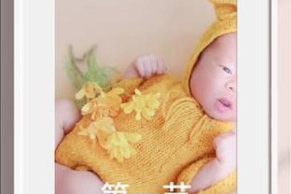 探索少奶奶命理：揭示她的性格与未来道路
