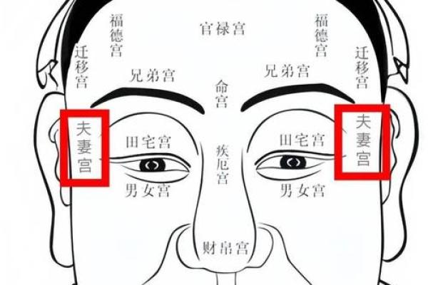 解密生命命格数字：透视你的人生轨迹与潜在能力
