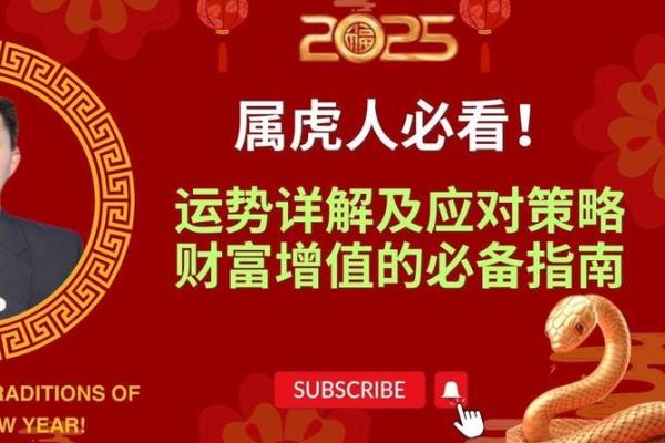 2022年属虎，2023年属兔，探索生肖与命运的奥秘