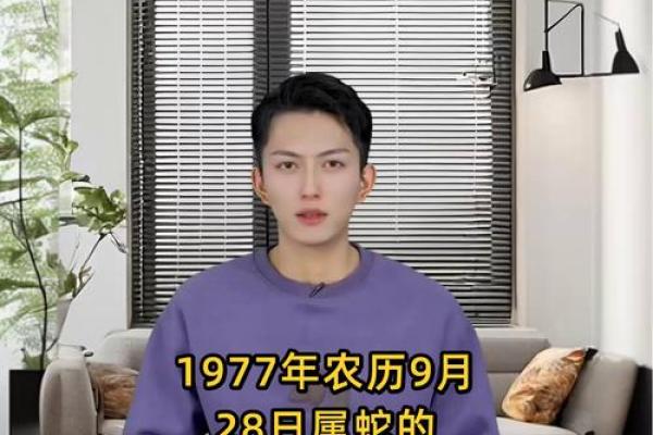 1977年出生的蛇年人：性格、特点与命运解析