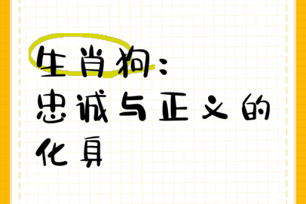 属狗之人的命运与特点：忠诚、坚持与积极生活的智慧