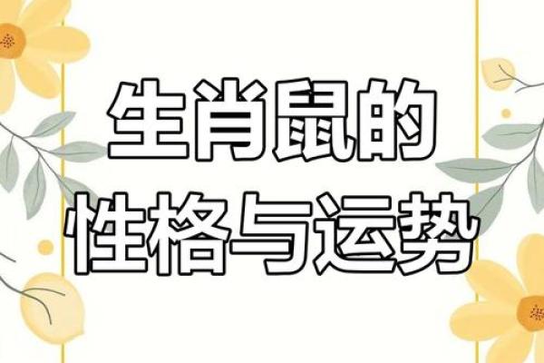 1994年出生的男性命运解析：他们的性格与生活轨迹