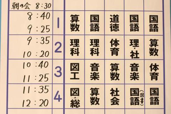 揭秘1987年腊月生人的命理和人生轨迹