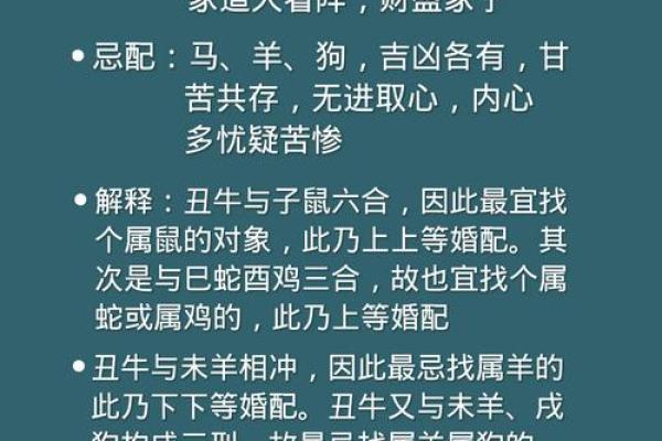 了解夫妻命与生肖的奥秘，助你感悟人生真谛！