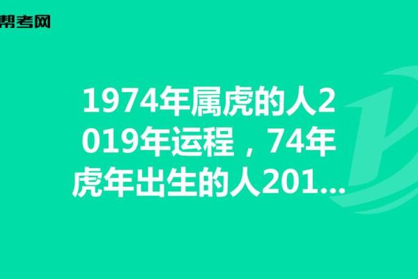 揭开1974年出生的属虎人的命运之谜与生活建议