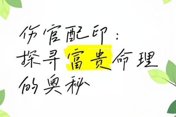 探寻富贵命：女人如何书写自己的命运与未来