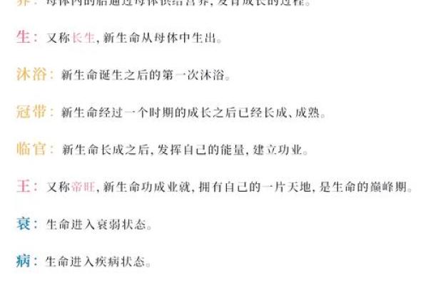 属相与命运：探究五行的奥秘与人生指导