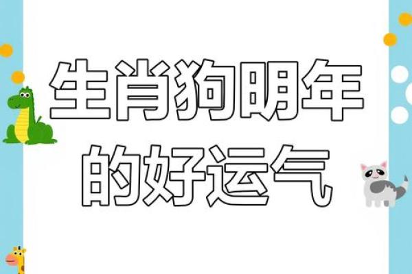 探秘2018年属狗人的命运：怎样化解困境，迎来好运