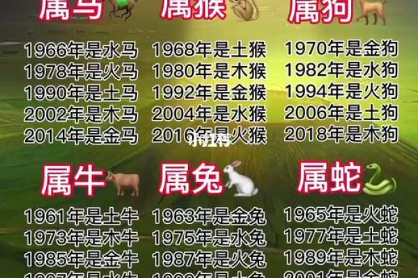 82年和80年命理的精彩对比：探秘生肖的命运之旅