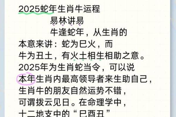 82年和80年命理的精彩对比：探秘生肖的命运之旅
