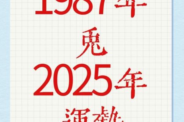 2001年兔年命运：兔子的智慧与机遇探秘