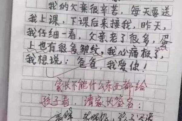 眼皮多皱纹：揭示命运背后的秘密与生活哲学