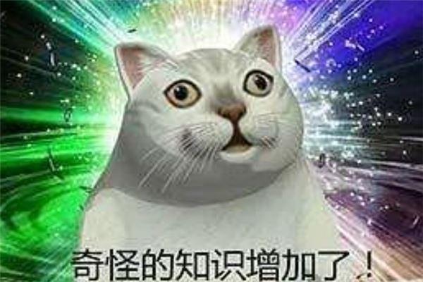 解密“命了”梗：从网络流行语到生活哲学的转变