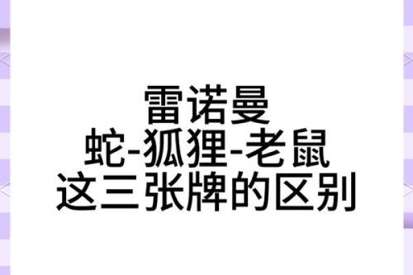 1996年出生的人命运解读：揭开生肖鼠的神秘面纱