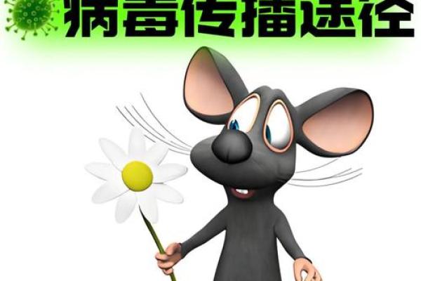 1996年出生的人命运解读：揭开生肖鼠的神秘面纱