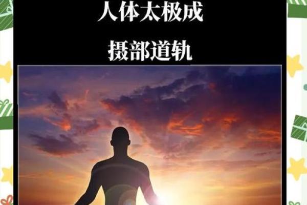 金木相克的命理智慧：探寻命运的奥秘与平衡之道