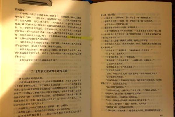 探索“命”字的深厚内涵与生活哲学：从古至今的命运之旅