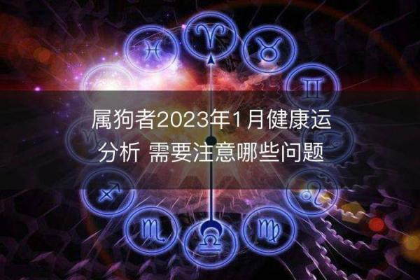 1999年狗年出生的人命运解析与生活指导