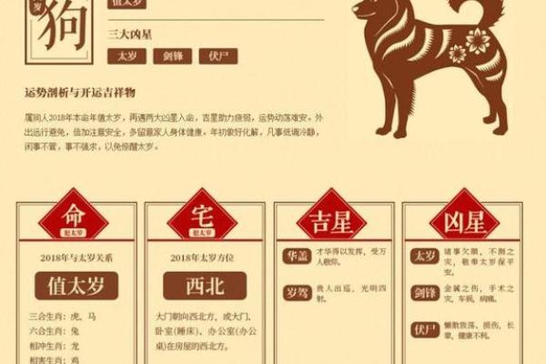 1999年狗年出生的人命运解析与生活指导