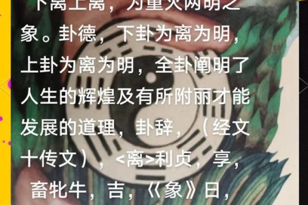 天地合命：探究命理与宇宙的神秘关系