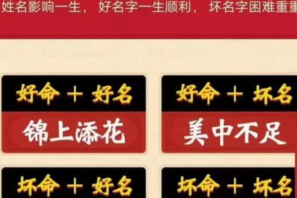 命名的奥秘：从名字看你的命运与未来