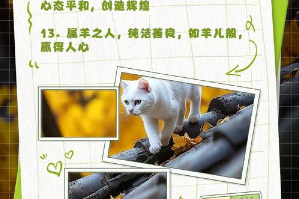 生肖羊与命理：解读羊年出生者的命运特征与人生方向