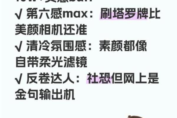 华盖星宿：命局中的巨星与隐秘力量