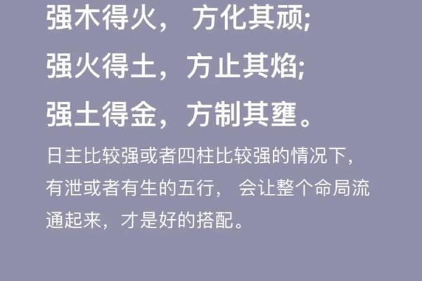 探索五行中的水命与木命：神秘的命理之旅
