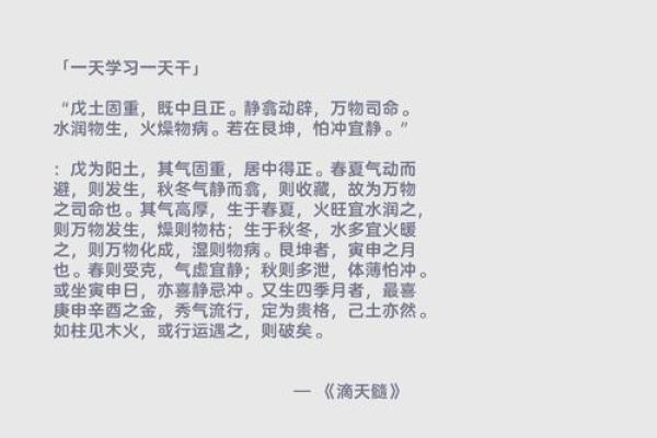 戊子与庚辰：探寻命理中的自然法则与人生哲学
