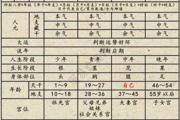根据人属什么命按什么定义的探讨：命理的奥秘与生活的指导
