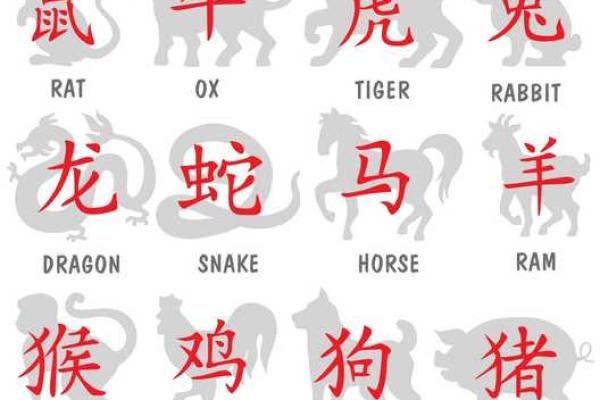 88年属相的人命运解析：揭秘你的未来之路与命格特征！
